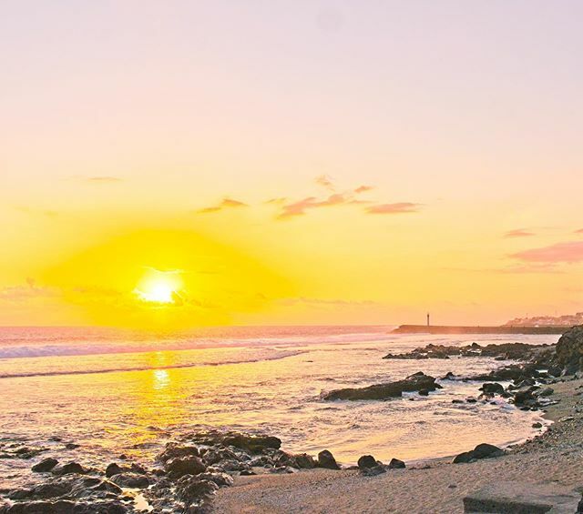 tastereunion's tweet photo. Our yoga spot, Reunion Island. 🇷🇪❤️🌅
.
.
.
.
#lareunion #team974 #iledelareunion #reunionisland #yoga #yogaspot #yogalover #sunset #nature #calm #peaceful #beach #yogainspiration #france https://t.co/eXIZHEmDAe https://t.co/UPcczFCfFO