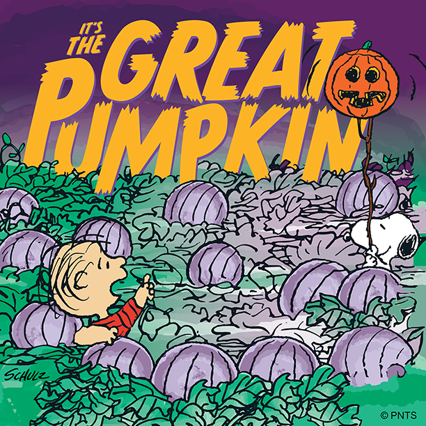 Snoopy's tweet photo. I believe in the Great Pumpkin! 🎃 https://t.co/IJNkohiCYt