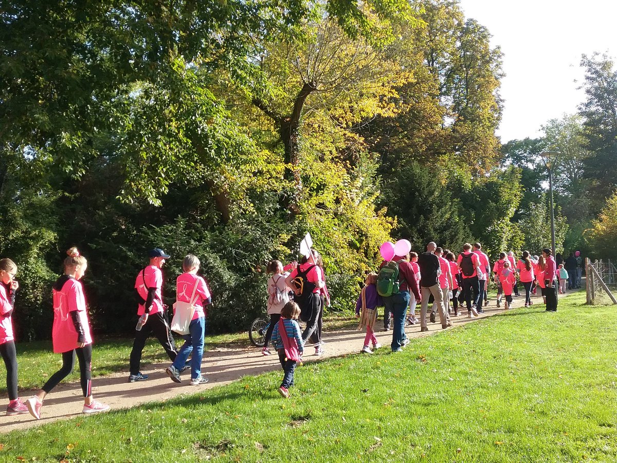 VilledeGif's tweet photo. Plus de 400 Giffois ont marché pour soutenir la lutte contre le cancer du sein ! #GifavecOctobreRose #OctobreRose https://t.co/hlKIYOgPWr