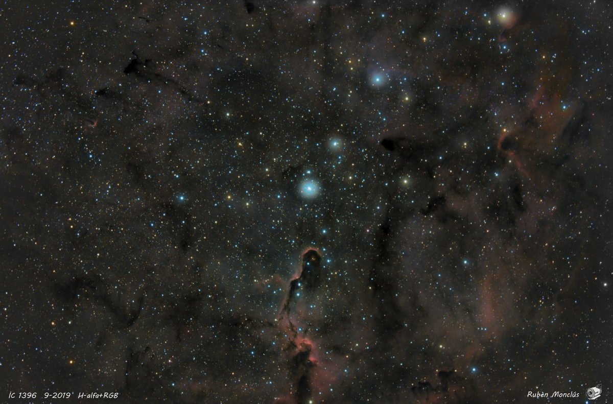 Una magnífica astrofotografia de la regió d'IC1396 on es pot observar la Trompa de l'elefant. Feta pel nostre company <a href="/rubenmonclus/">Rubèn Monclús</a> 

astrolleida.cat/2019/10/ic1396…

#ic1396 #astrofotografia #astronomia