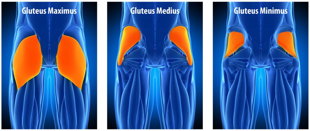 Sore lower back, knee, or leg muscles? So many times the cause of these problems is a weak butt. Read our blog to help strengthen and activate your glute muscles. #glutes  #gluteexercises techniquephysio.com/its-all-about-…