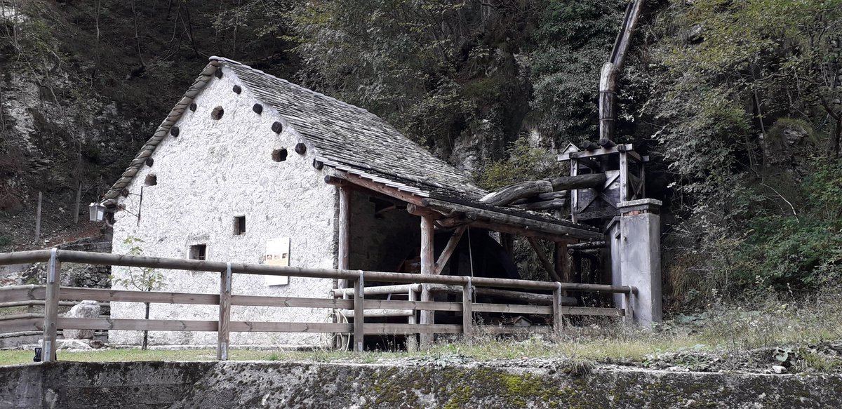 LaziaSab's tweet photo. Fuori dal mondo, a due lassi da casa. Mulino della Vsl Pore, #belluno #dolomiti #bici https://t.co/XfiXWDNWNk