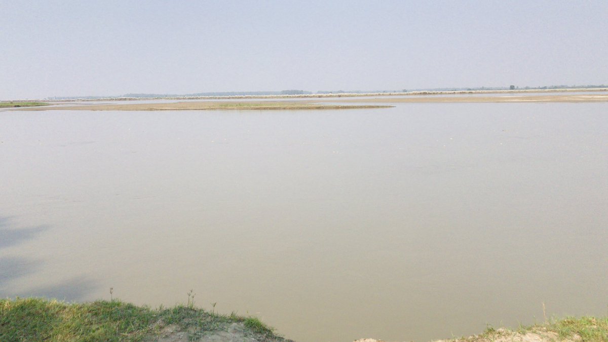 GillBraulik's tweet image. Surveying river #dolphins in South Asia..  Almost always Beaufort zero! Unlike marine dolphins you dont have to contend with waves and swell obscuring sightings. We still miss them though even then but in small numbers! #perceptionbias #availabilitybias #platanista