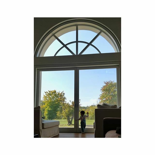 zuja1983's tweet photo. Easy like Sunday morning

#autumn #fall #baby #nature #love  #photography  #october #autumnvibes  #leaves #cozy #autumnleaves #autumncolors #naturephotography #style #instagood #like #photooftheday #landscape #beautiful https://t.co/wSvKcrIpBv https://t.co/HgqC165Z1w