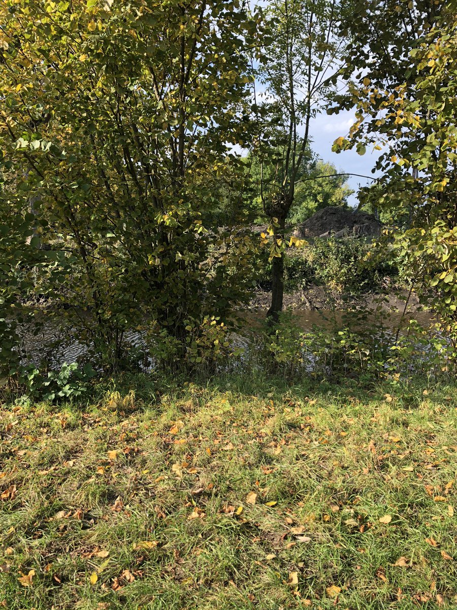 _sun_moon_stars's tweet image. ... und auch noch laufen gewesen! 🏃‍♀️👣🥵 Vorbei am „reissenden Fluss“, sprießenden Pilzen... und tatsächlich lebend wieder zuhause angekommen! 😅😉 #laufenamlimit #derwegistdasziel #stronghealthyandfullofenergy #laufniete 😂