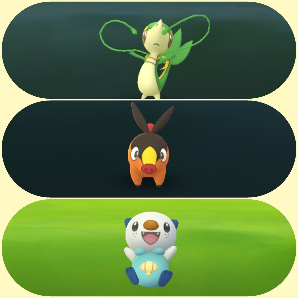 Amazinghisa 今日のポケモンgo活動2 色違いコラッタ やっと来ました あと 一日で初めてイッシュの御三家全てと遭遇 ポケモンgo コラッタ 色違い ツタージャ ポカブ ミジュマル