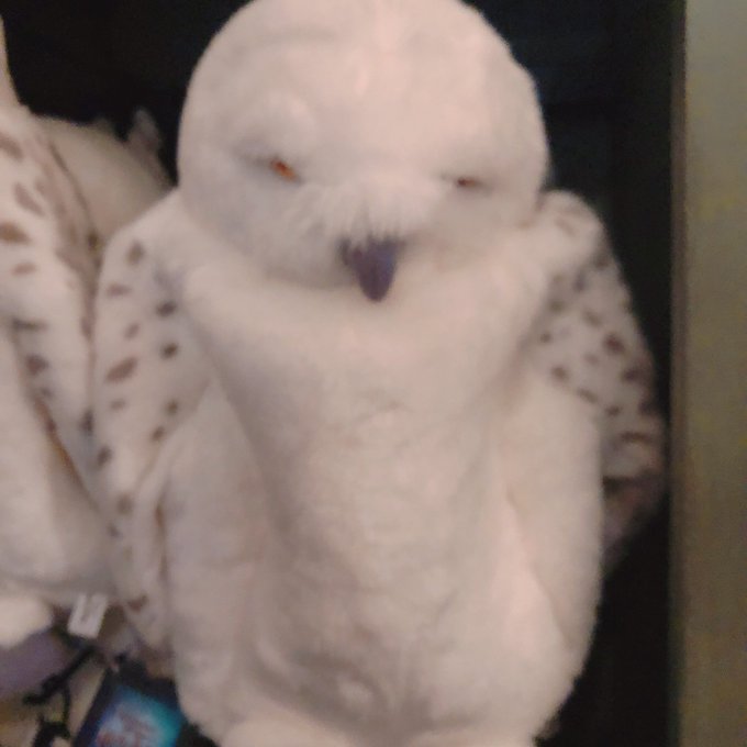 コスプレイヤーshasoのTwitter画像6