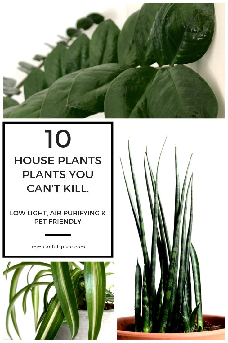 Ultimate list of Low Maintenance, Low Light, Air Purifying and Non-Toxic House Plants.  #bestindoorplants #impossibletokillplants #hardtokillplants #houseplants #indoorplants #lowlightplants #nontoxicplants #airpurify...