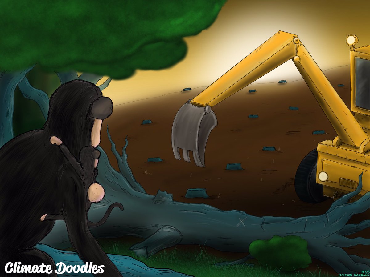 “Home”

I was inspired to draw this after seeing a video of an Orangutan attacking a digger that was tearing up its home, so truly heartbreaking 😢

#art #sketch #doodle #deforestation #climatechange #rainforest #home #forest #destruction #hurt #sadart #artistsoninstagram #art