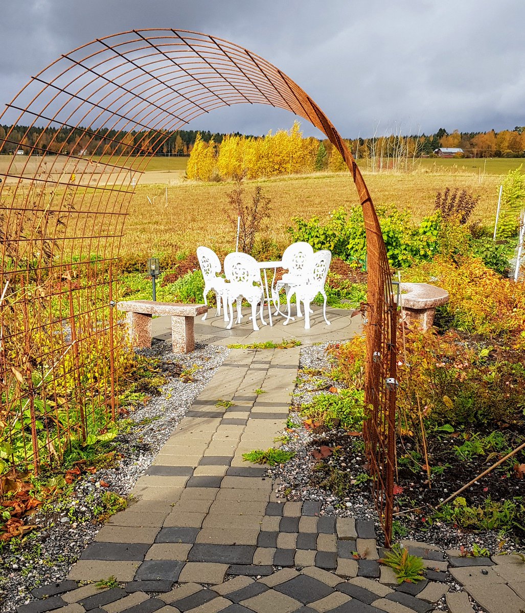 somevaari's tweet photo. Pöytä neljälle.
#piha #puutarha #asuminen #rakentaminen #somela #kivapiha #akogarden #syksy #wanhahollola #luonto #valokuvaus #nature #photography #autumn https://t.co/eucxc97pZf