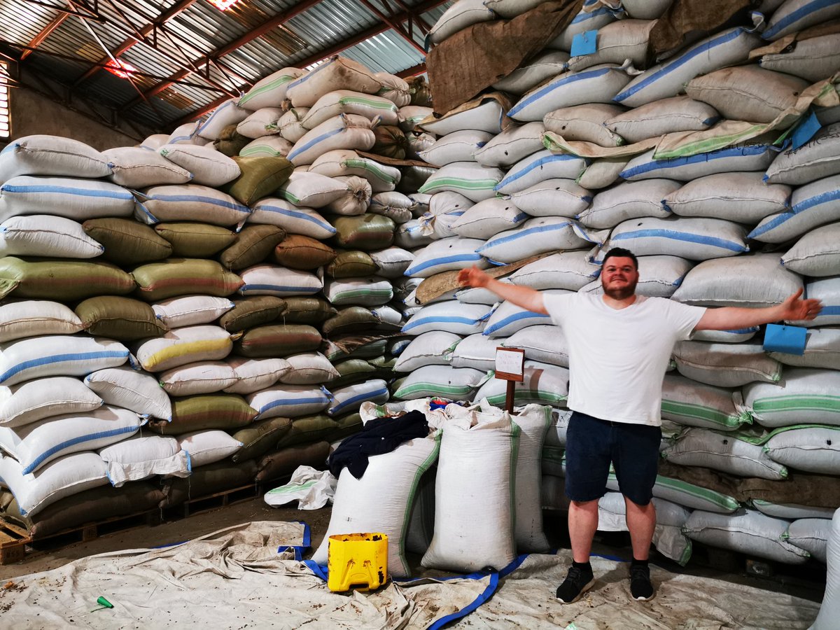 FrazersCoffee's tweet photo. Thats a lot of Ugandan coffee what an impressive feet to pick deliver process dry and store this beautiful coffee this wharehouse smells incredible https://t.co/WpIWjOfCdP