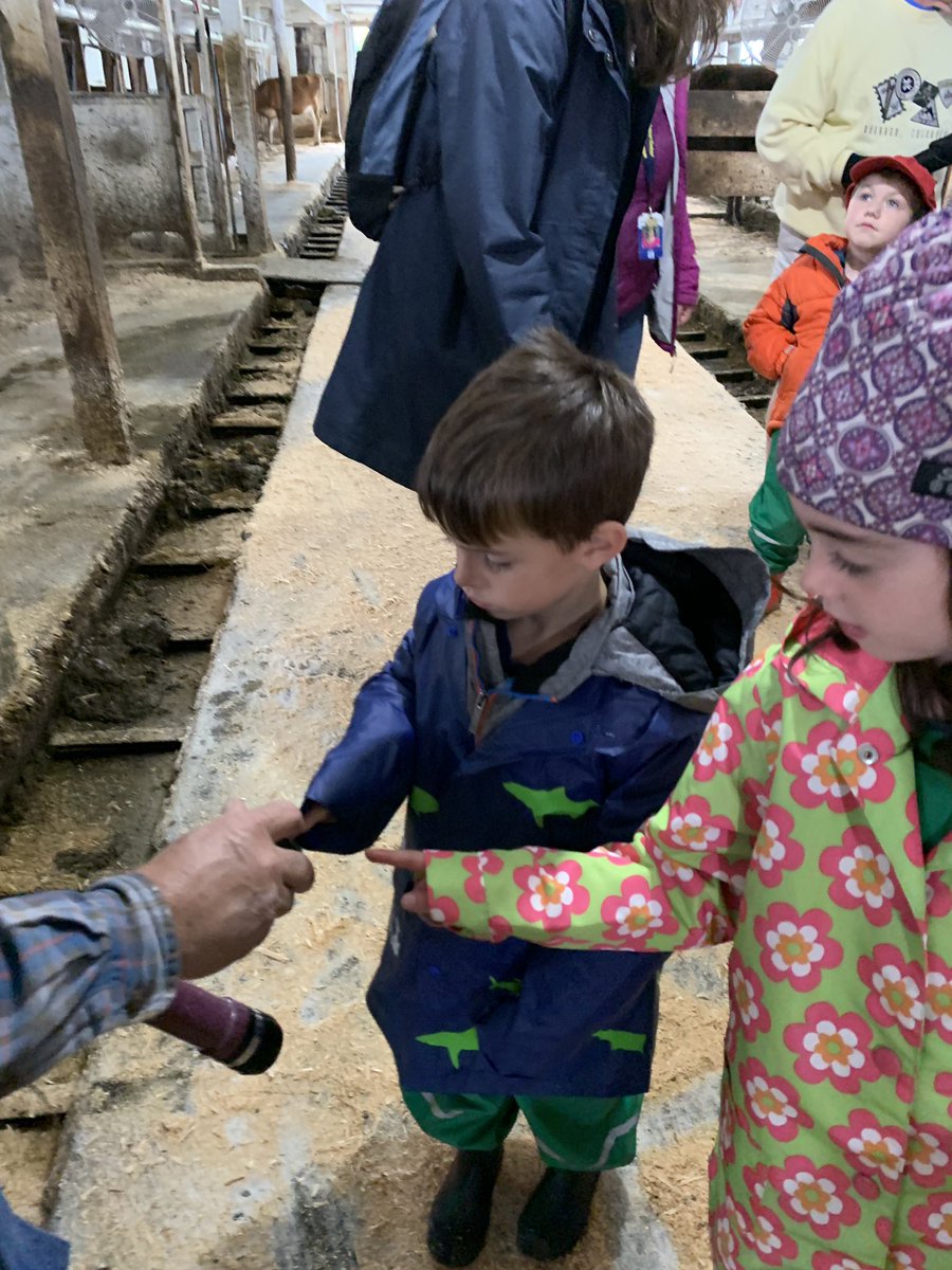 Jen Canfield tweet media