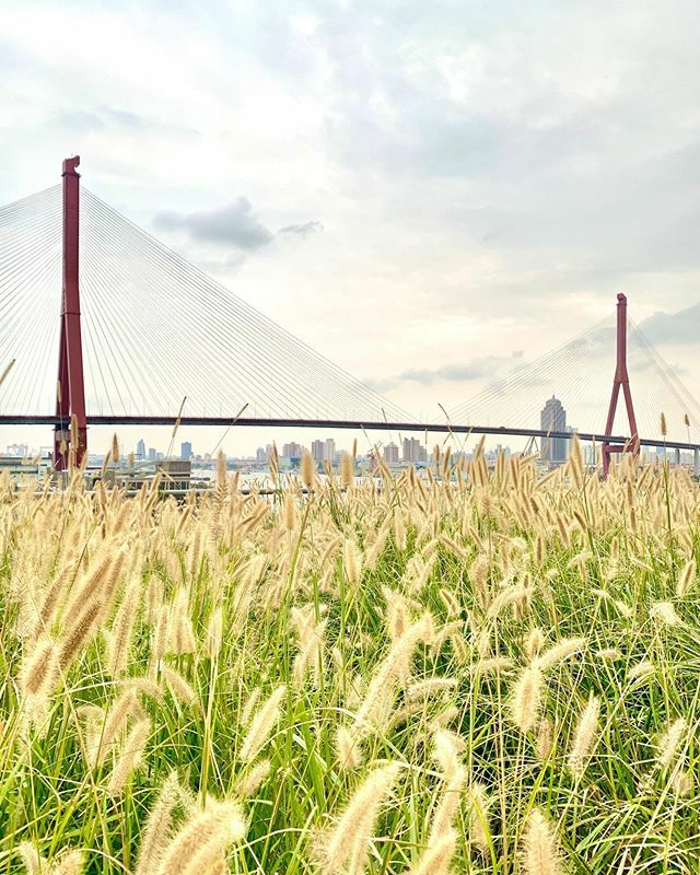 Ran Yang tweet media