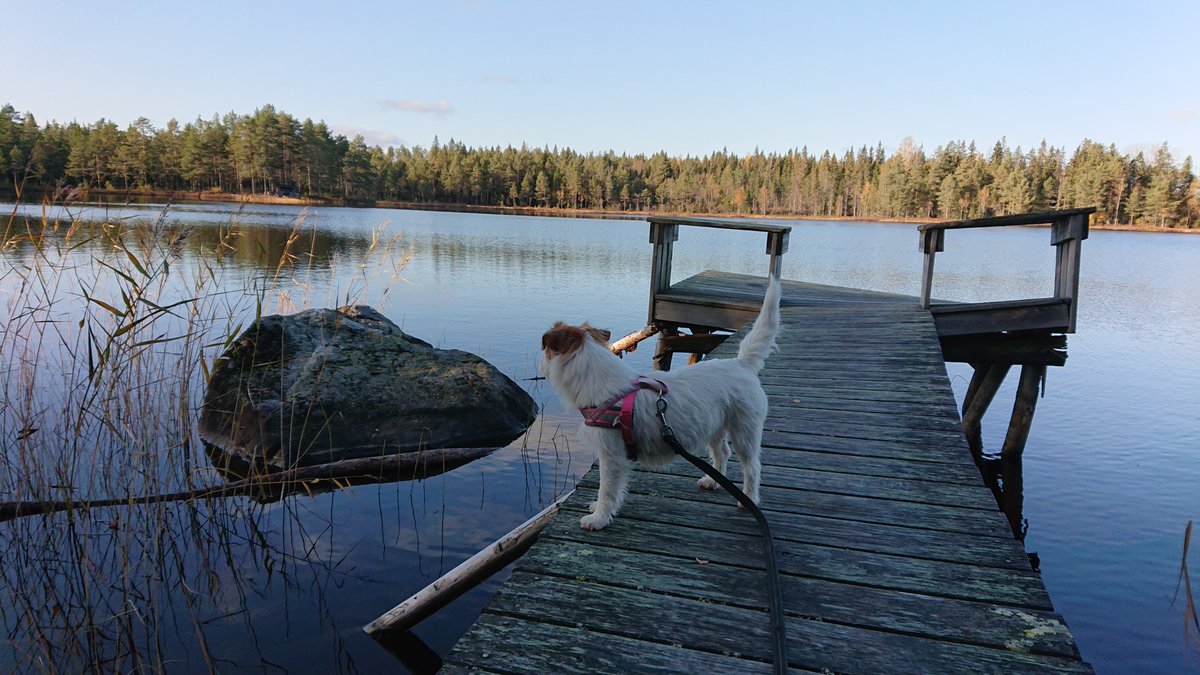 NordanstigSE's tweet photo. Åstjärn Gnarp 14:44 #gnarp https://t.co/cM5R9Es1LI