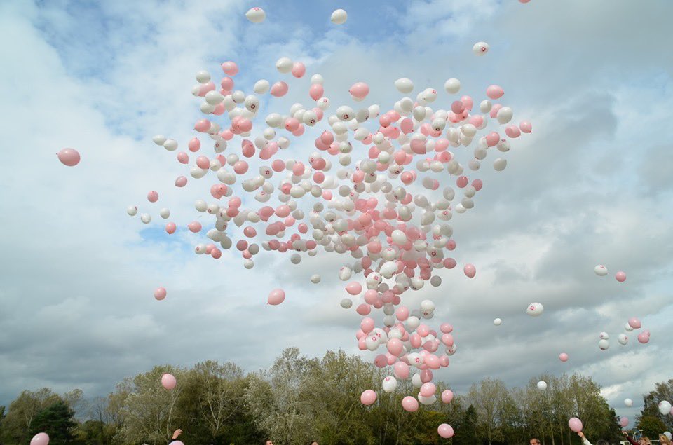 Un wonder hommage pour notre petite chérie 💗 🦄 

Merci à tous ceux qui ont pu être présents, et à tous ceux qui ont eu Augustine dans leurs pensées, à ceux qui nous ont aidé ! Et un énorme merci à <a href="/Jeffpanacloc/">Jeff Panacloc</a> et sa femme pour leur venue surprise !

Un moment simple et beau ✨