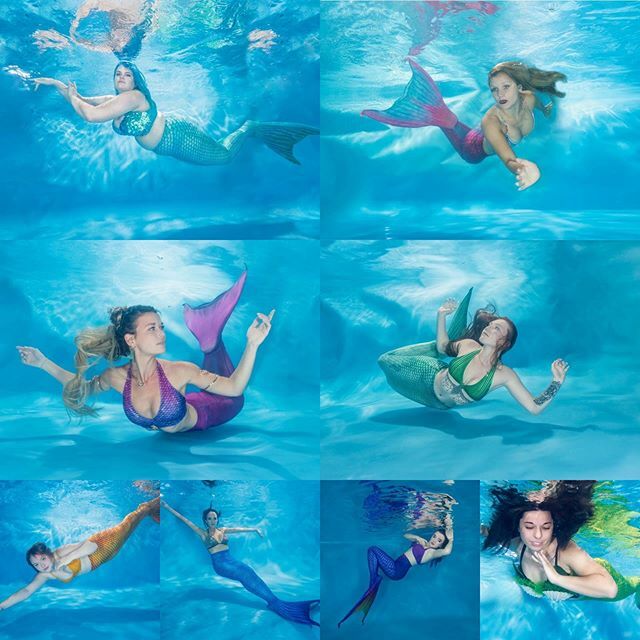AlScarlett77's tweet photo. The underwater round went swimmingly🧜🏻‍♀️ @missmermaidukpageant 2019.
Clockwork organisation meant 3 breath holds per person. .
.
.
#Underwatermermaidphotography #underwatermodel #aquastudios #mermaidmakeup #mermaids #ukmermaid #mermaidtailThe underwater round went swimmingly🧜🏻‍… https://t.co/xdgAaZisqk