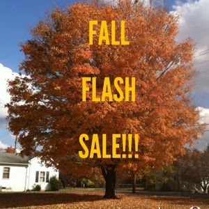 baytec's tweet image. FALL FLASH SALE EXTENDED!  Get you Low Sales Prices and an Extra 11% Off!  Click Here to get your Discount Code, then enter it in the Coupon Box On our Website: baytec.net