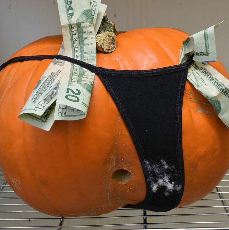 chrisbu98565279's tweet photo. #IfPumpkinsCouldTalk
I said pumpkin not humpkin.... https://t.co/76VgMvXYvP