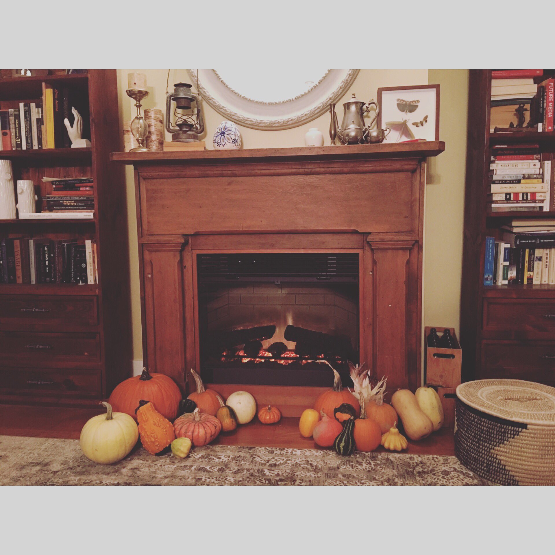 Amy Eileen Hamm Self Restraint At The Pumpkin Patch A Photo