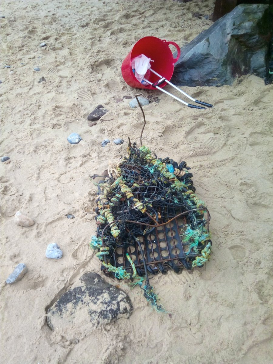 nrthnorfolkbeachclns tweet media