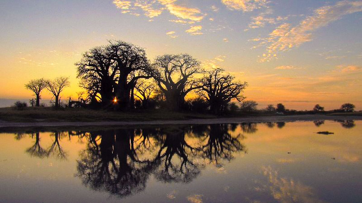 We get to enjoy scenes like this every day - when will you join us?

musangosafaricamp.com/contact-us

#AfricaTravel #Zimbabwe #LakeKariba #Safari #Landscape #LandscapePhotography #LandscapeLovers #Sunsets #SunsetTrip