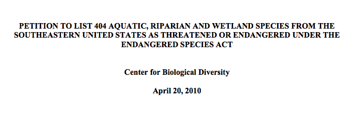 Alabama Shad is my #watercolor for this #SundayFishSketch. With #Alabama in its scientific name I'm glad we share the state!

It's on the decline b/c of pollution &amp; habitat alternation (dams). In 2010 <a href="/AlabamaRivers/">Alabama Rivers Alliance</a> joined <a href="/CenterForBioDiv/">Center for Biological Diversity</a> to try to make it an #endangeredspecies.
