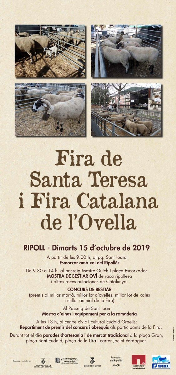 ripoll_comerc's tweet photo. Fira de Sta Teresa- Fira Catalana de l'Ovella 🐑🐏 #programadactivitats #sompoble #somcomerç @Aj_Ripoll https://t.co/9sng6KNU3E