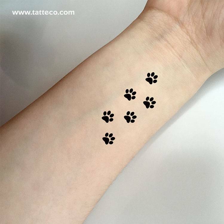 Buy Simply Inked Paw print Temporary Tattoo Online  Get 43 Off