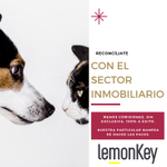 Photo by lemonKey (@LEMONKEYSpain)