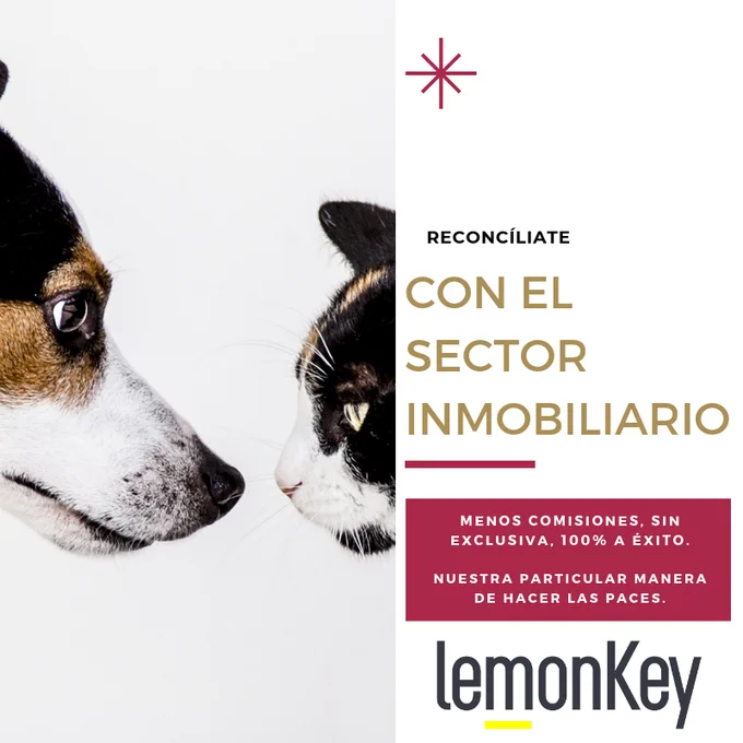 Image from lemonKey (@LEMONKEYSpain)