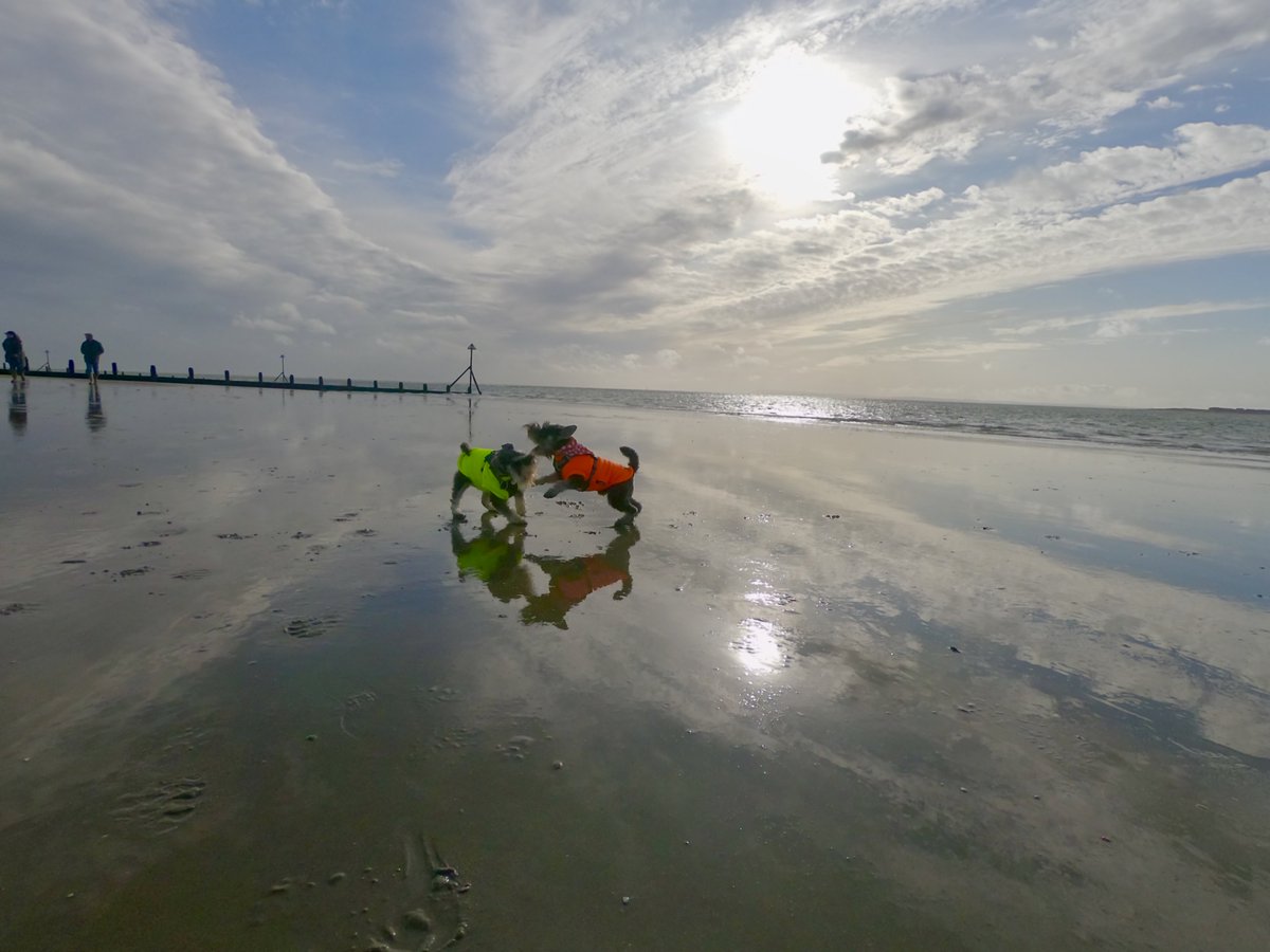 Mark Davidson tweet media