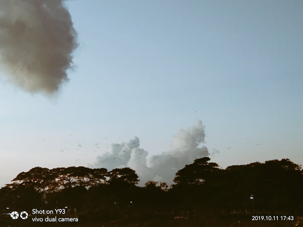 BHBappi1's tweet photo. #naturephotography 
#sunsets https://t.co/6j7R7xGa6i