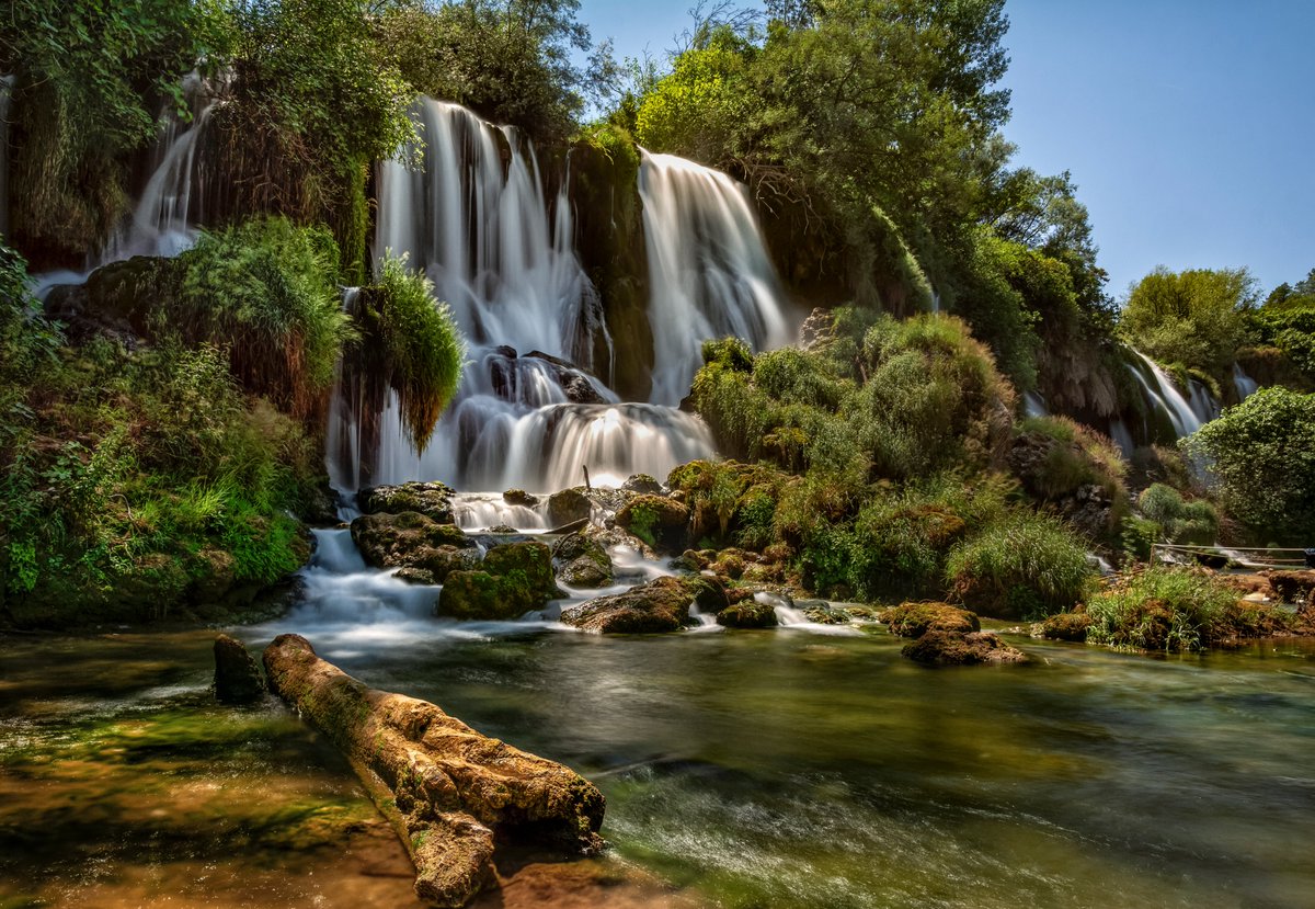 Oriol Federico tweet media