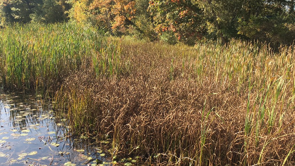 #writeout Get outside and write! #owp #nwp
