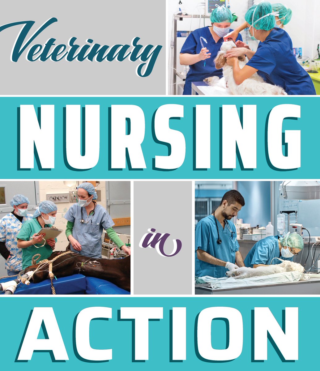 VetTechs's tweet photo. HAPPY NATIONAL VETERINARY TECHNICIAN WEEK 2019!
#NVTW2019 #VetTechWeek #vettech #vettechs #veterinarytechnician #vetnurse #veterinarynurse #vetmed #veterinarymedicine #lvt #cvt #rvt  #navta #vettechlife #vetnurselife #vettechstudent https://t.co/F1OHRZaqzs