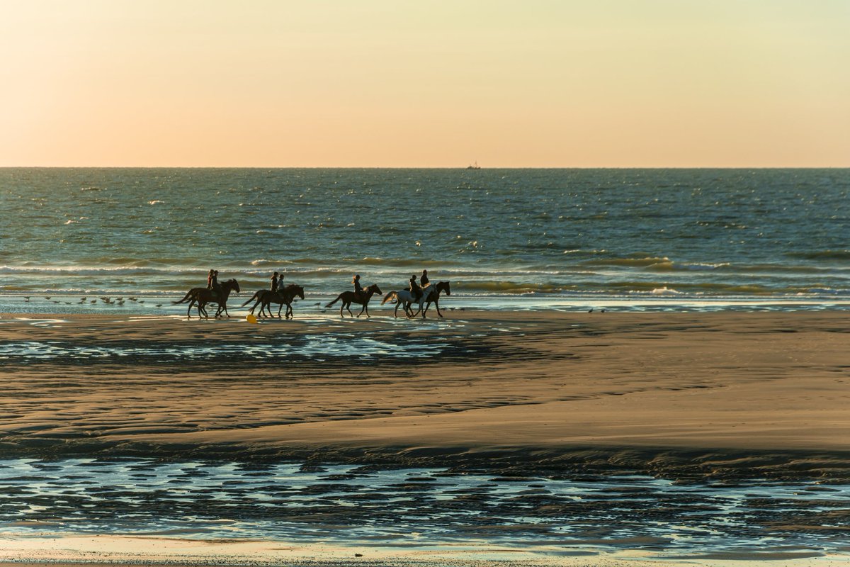 #mer du nord