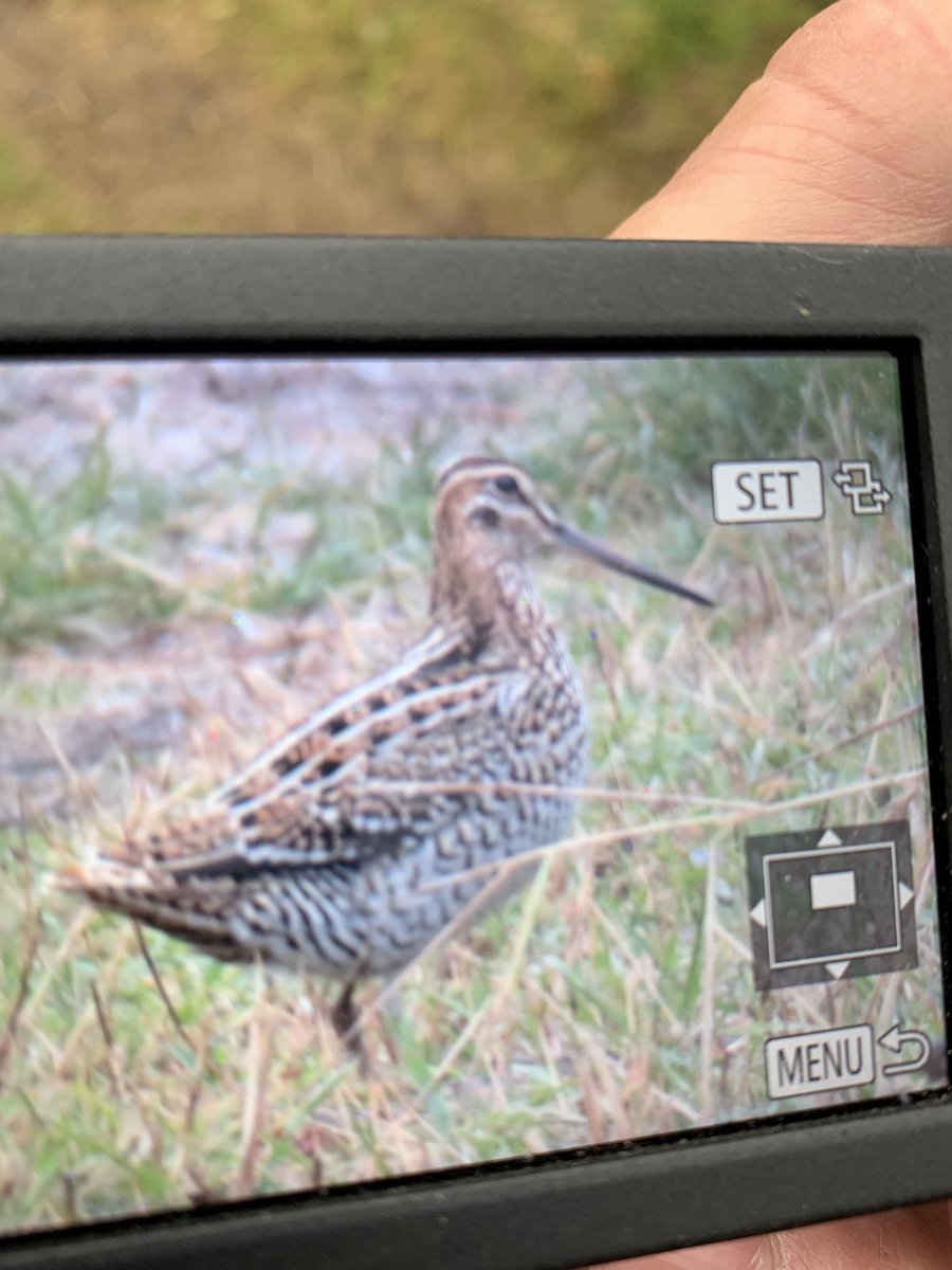 FCackett's tweet photo. BOC shot!! https://t.co/kGKmwT4wE3