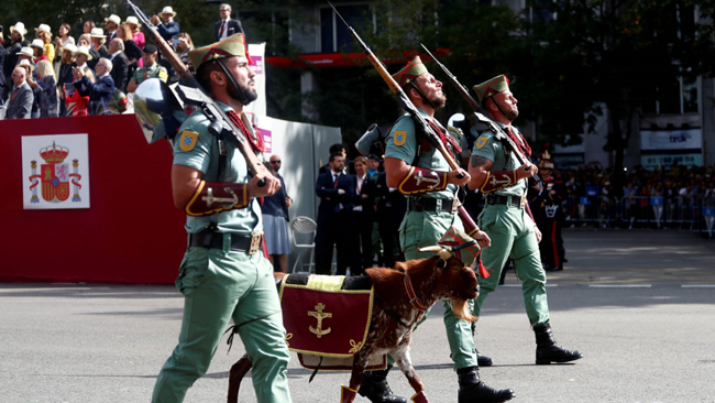 ANLH_JOMunilla's tweet photo. 🇪🇸 DÍA DE LA FIESTA NACIONAL 2019 | MADRID. Galería fotográfica del desfile vía @elconfidencial https://t.co/XROtuIF0pt. #12octFiestaNacional #DFN2019 #12O #DiaDeLaHispanidad #LaLegión #ComprometidosConLaPaz #LegionariosdeHonor https://t.co/jmiknROpB4