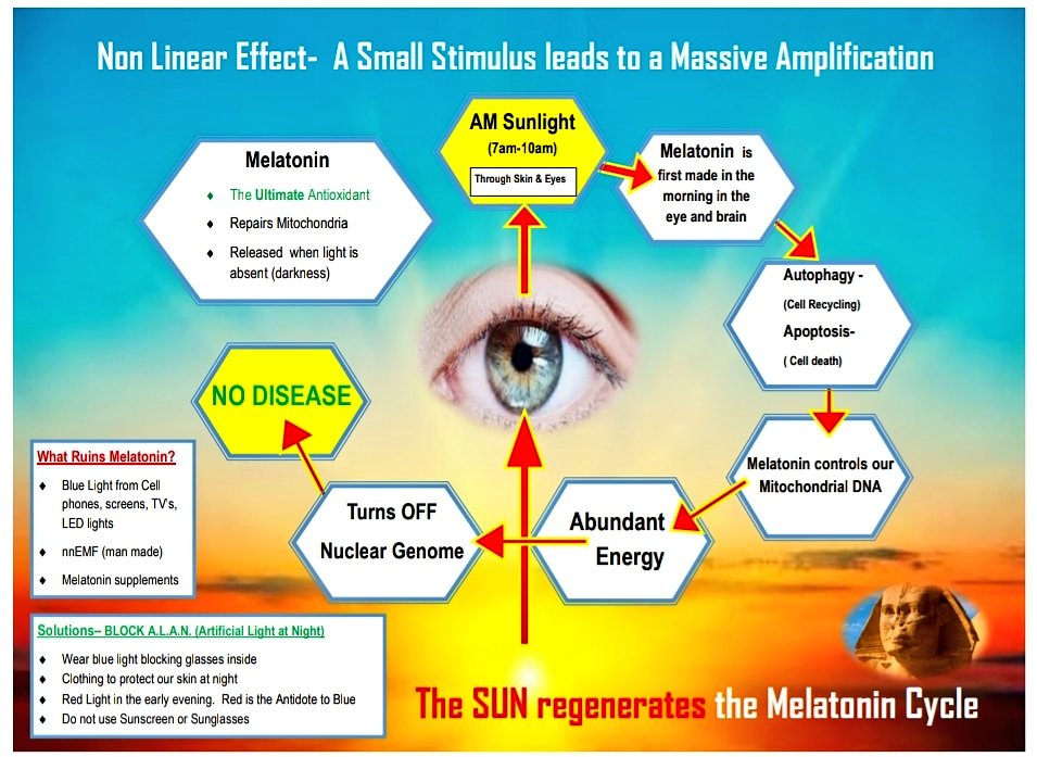 Melatonin production starts in the morning with #amsunlight, then throughout the day.  Blue blockers for the WIN at night... #dontthrowitaway @DylanPetkus