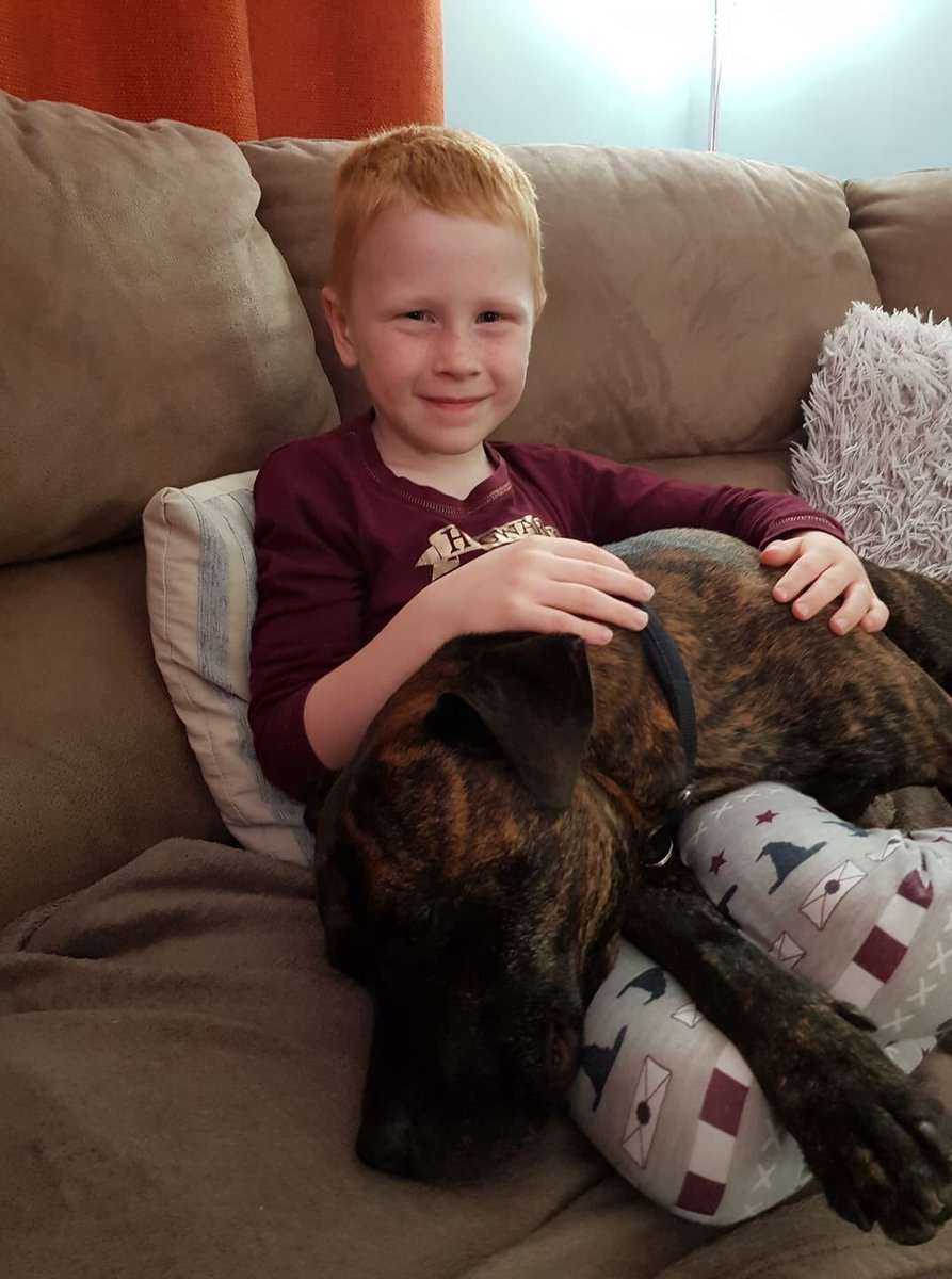 Staffordshire Rescue tweet media