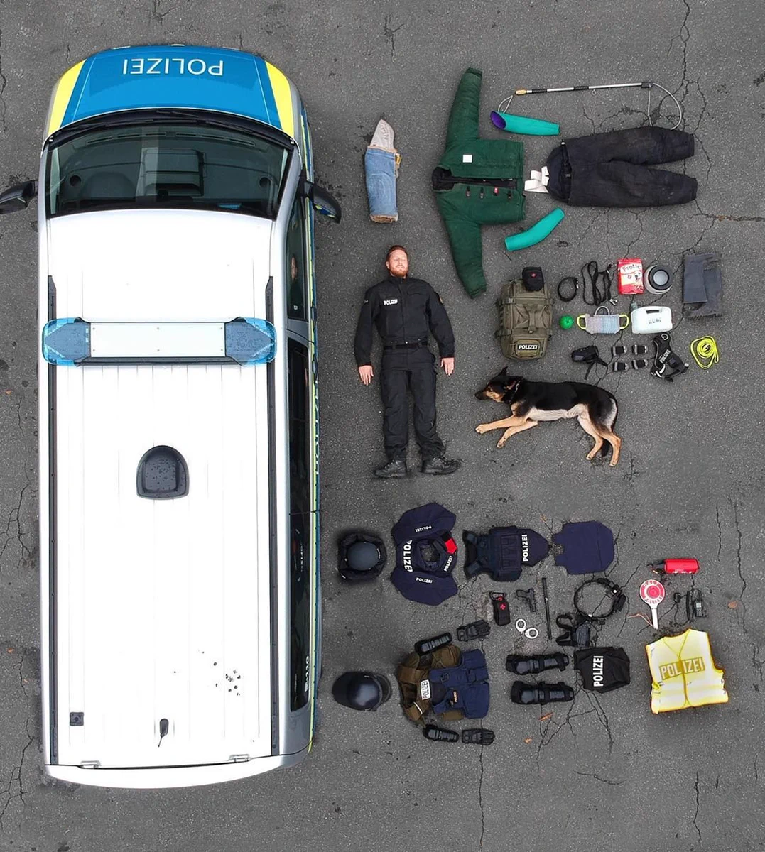 ドイツ警察の人と犬の装備を公開した結果？犬がスゴいお利口さんwww