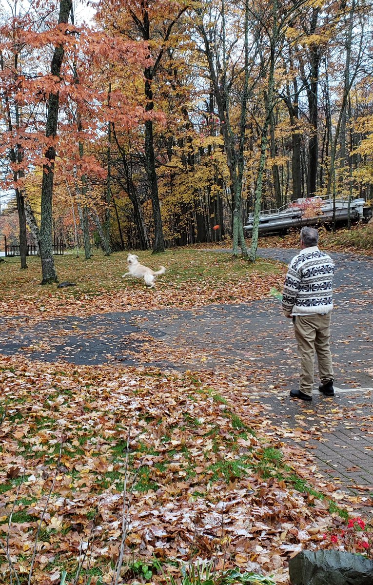 JenLief's tweet image. Good dog dad @carlsewall