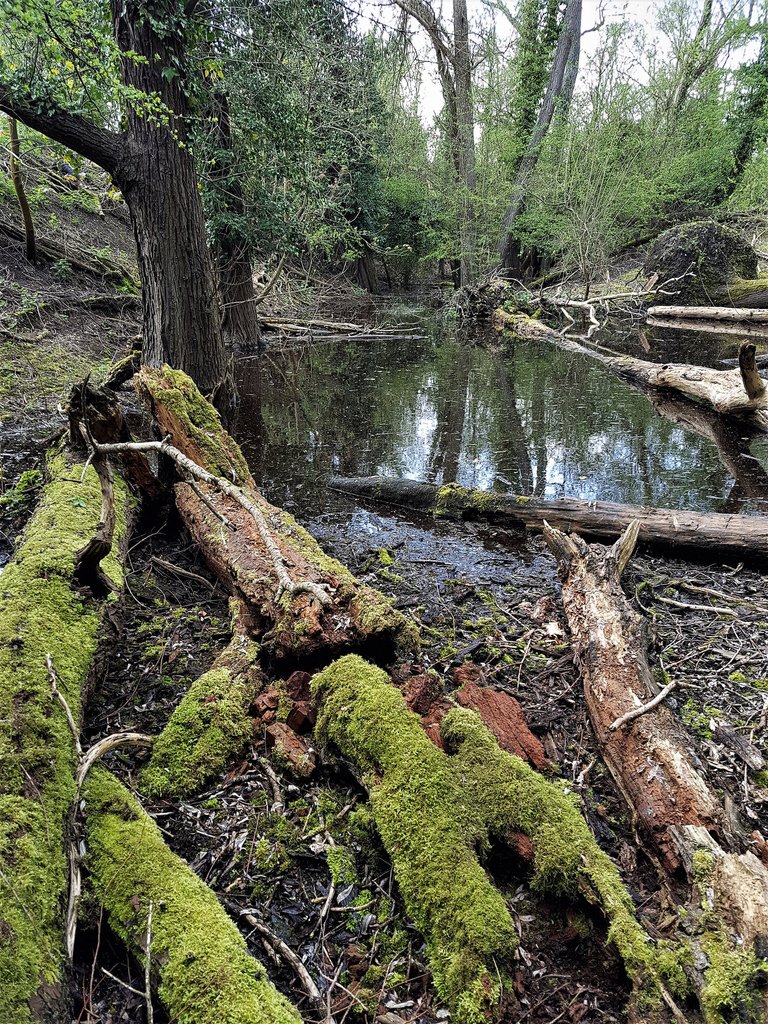CarpTalkOrg's tweet image. Ed Betteridge | The Forgotten Lake
This time last year, Ed decided to take time out from his writing and just spend some time fishing for himself, away from the madding crowds, the only question was where...

soo.nr/zJ5x