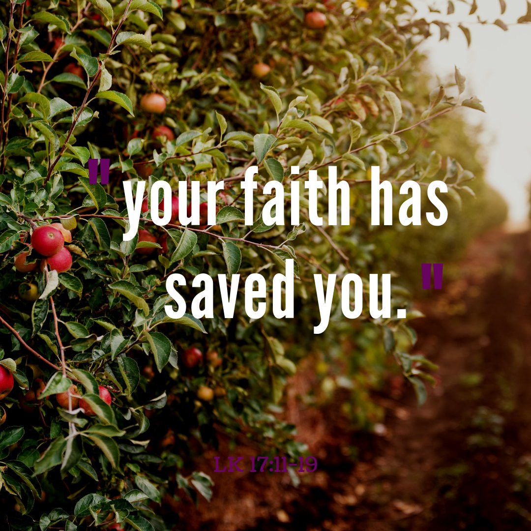 SyracuseYouth's tweet photo. Do you realize God's mercy in your life? Do you thank Him for your faith?
_
What did God reveal to you at mass today?
_
Today's readings: https://t.co/8IthfUcXhK
_
#sunday #28thsundayinordinarytime #gosepl #gospelofluke #faith #yourfaithhassavedyou #mass https://t.co/trXR8RaQ2Y