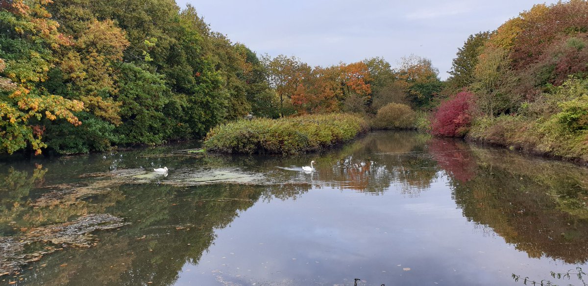 rhonkey's tweet photo. #Kiltonga #Newtownards https://t.co/c6hkAltKjJ