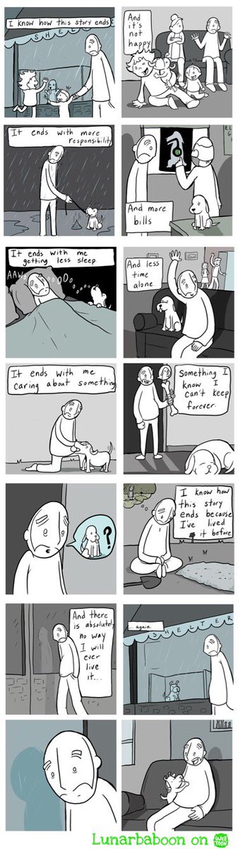 Lunarbaboon's tweet photo. Dog. https://t.co/tsKUr7Apb8