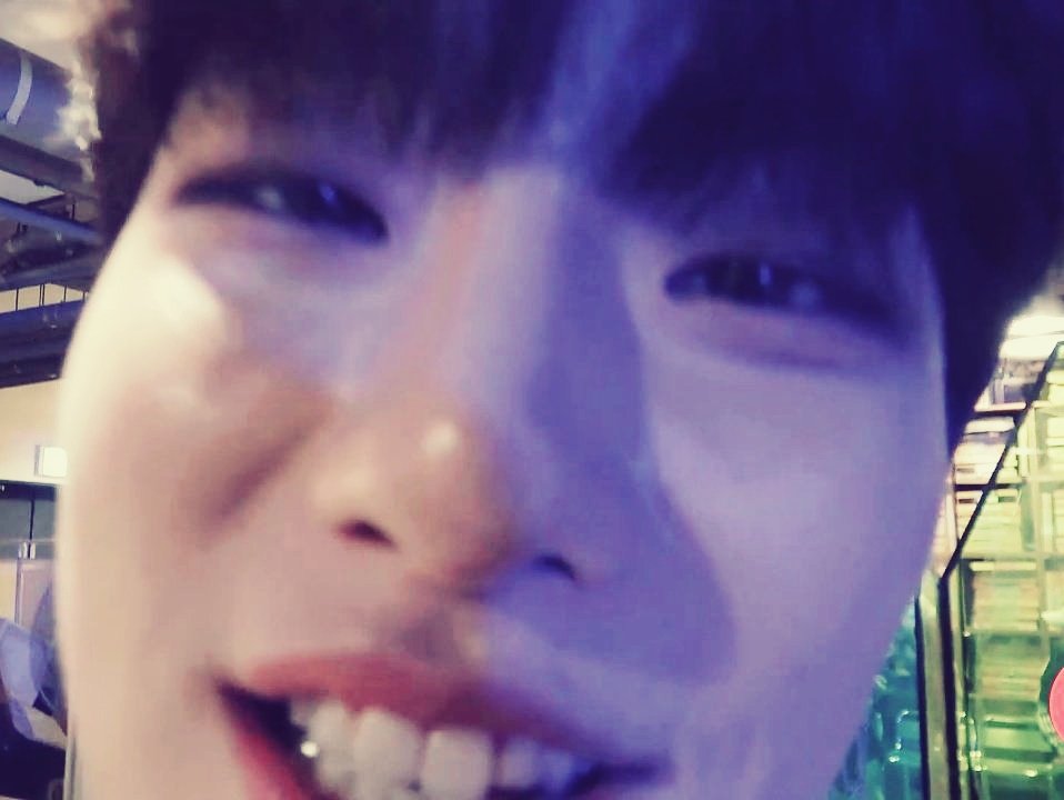 venice ✿ ˎˊ˗ tweet media