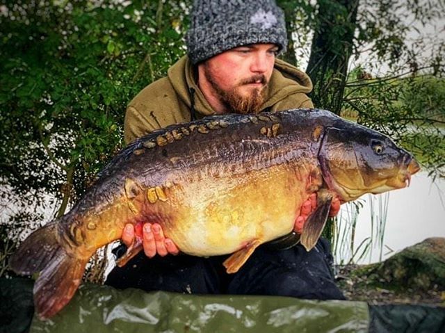 A 27.4lb mirror for Steve off the point using a snowman comprised of spicy krill &amp; bloodworm boilies, topped off with a manilla pop-up 👌 #mirrorcarp #carp #carpfishing #carplake #carplife #fishing🐟 #fishing #fishing🎣 #fishingislife #fishinglife #fish… ift.tt/2B6IG5g
