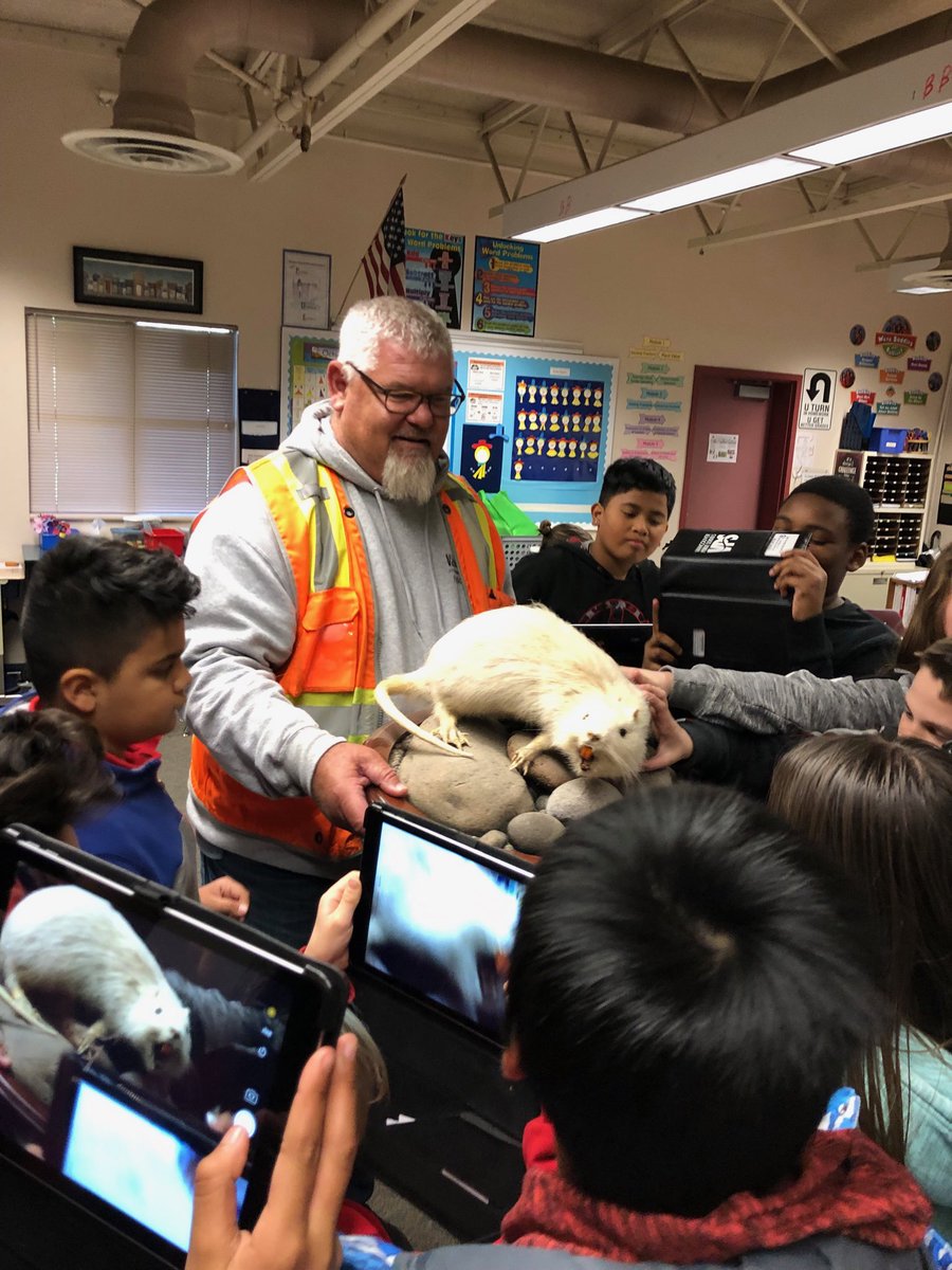 carolpatrick4's tweet photo. @RooseveltVPS ...Tim Esary came to talk about Invasive and Native Species to both Ms. Patrick’s class and Roosevelt’s newly established Green Team. Here he brought a Nutria, a large rat from South America, that multiplies quickly here because it has no predators! #RooseveltRocks! https://t.co/nH9ftwNiNG