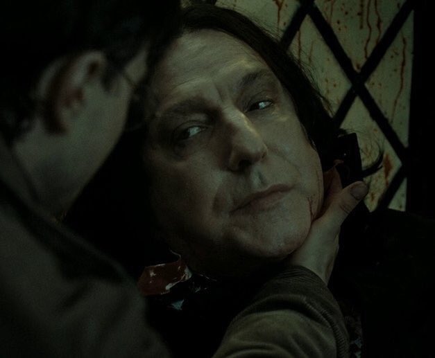 Harry_Potter_TM's tweet photo. ¿Qué muerte te dolió más? 

RT - Snape 
MG - Sirius https://t.co/RTMy98Jg54